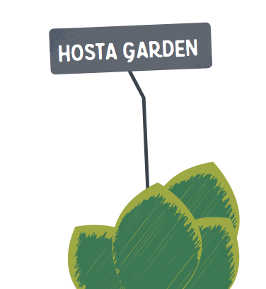 Hosta Garden