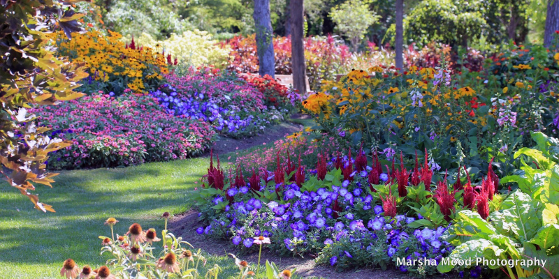 Get Your Spring Fix Blooming Botanical Gardens Brava Magazine