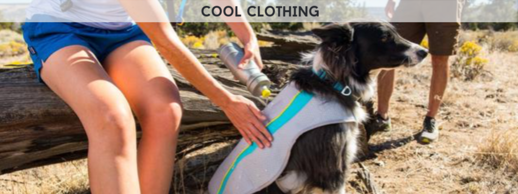 how do dog cooling vests work