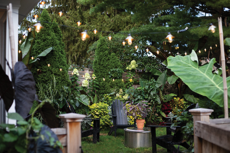 Melissa Tracy’s Madison backyard is transformed with
a fire pit and plants that give a jungle vibe, including hydrangea limelight, arborvitae, banana plants, elephant ears, coleus and Persian shield.