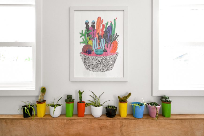 A clutch of succulents and baby spider plants grow in colorful pots in the home’s lower-level rec room. Several are set in cups from a 1970s-era picnic kit.