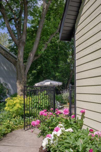 Peonies provide a pop of color leading to Vaughan’s backyard.