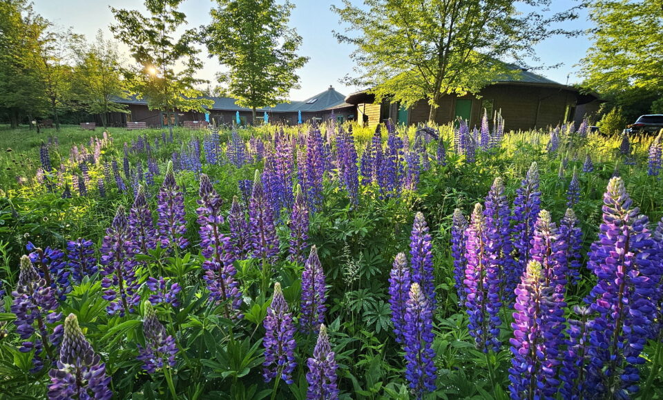 Christine Center, Willard  Photo by Valerie Haberman