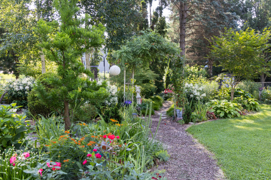 An archway marks the entrance to the garden. A Princess Diana clematis, which blooms in early summer, adorns one half and a trumpet vine, which blooms later in the season, adorns the other half. A second archway leads to the butterfly garden and is hung with wisteria and clematis.