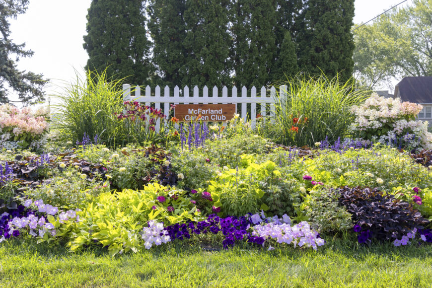 Tall perennial grasses bring vertical interest, enhance sustainability and help frame the McFarland Garden Club's sign. Flanking the grasses are lush, rounded hydrangeas.